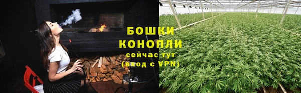 apvp Арсеньев