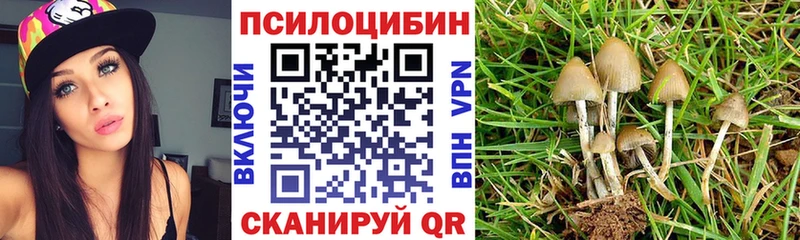 как найти наркотики  Семикаракорск  Галлюциногенные грибы прущие грибы 