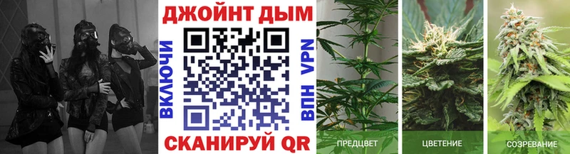 МАРИХУАНА индика Семикаракорск